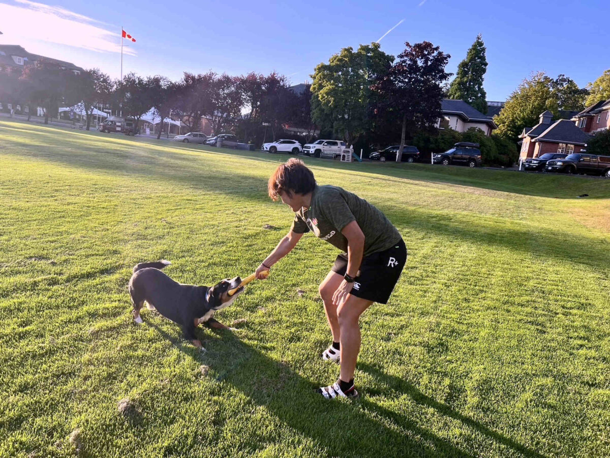 【中村知春のアニキにっき】犬に咬まれてシフォンケーキ。