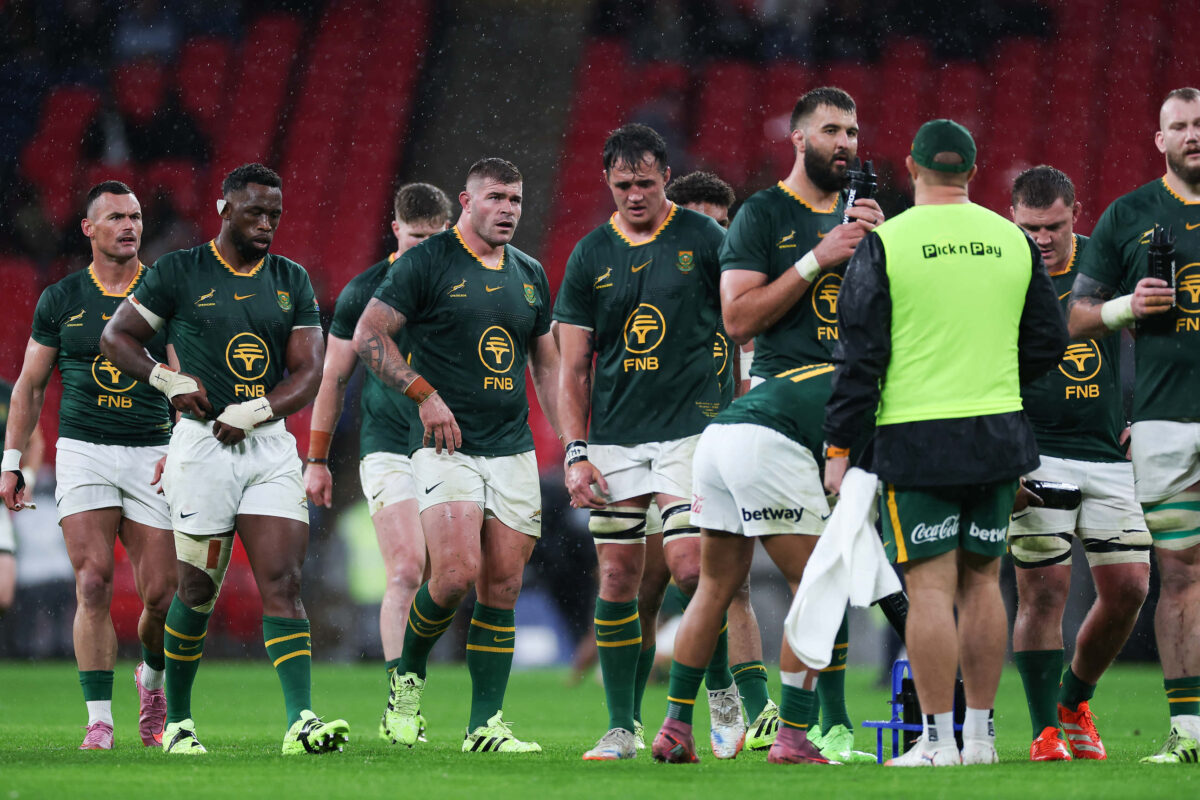 【情報てんこ盛り、南アフリカコラム】死角なし。スプリングボックス、欧州ツアーを全勝で終える。