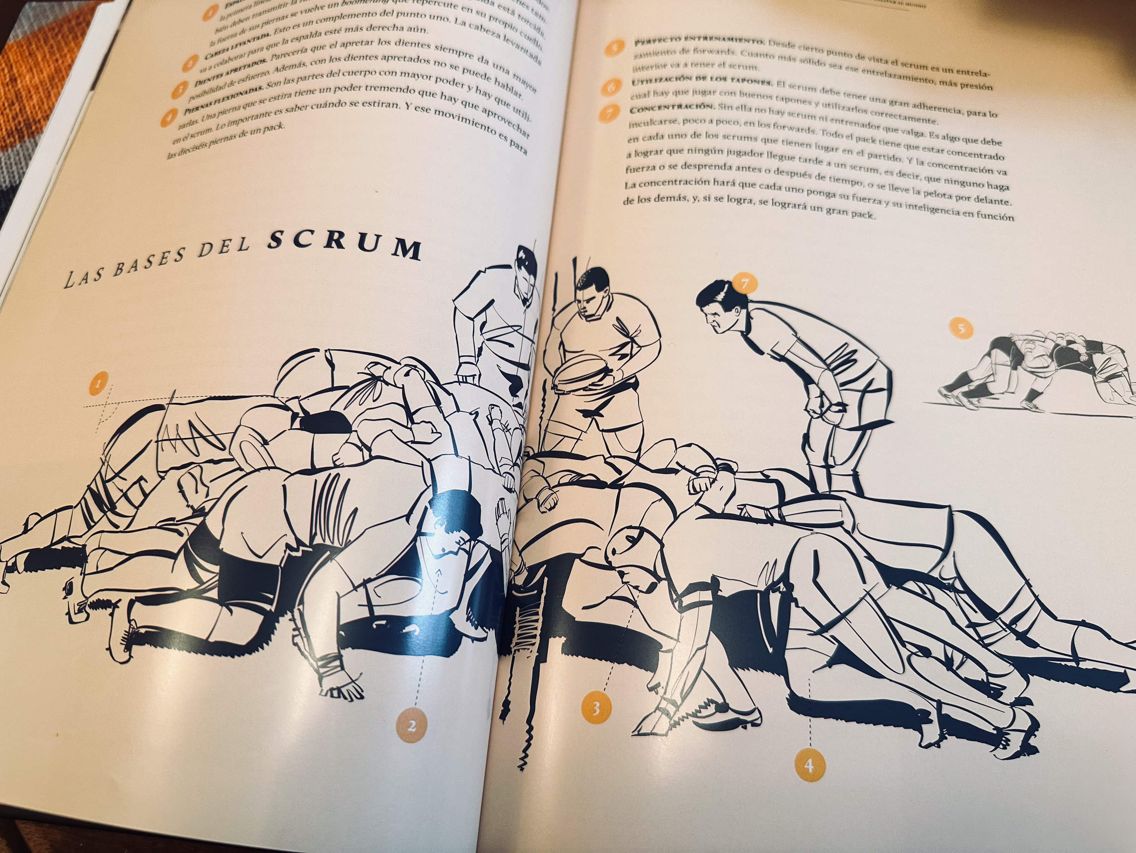 【Feel in Argentina／番外編】『バハディータ』を進化させ『ラグビーの声』を体現。カルロス・〝ベコ〟・ビジェガス